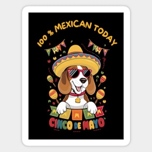 Beagle Dog Cinco de Mayo Magnet